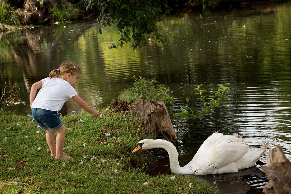 maternity,family,photos,irene farm,centurion