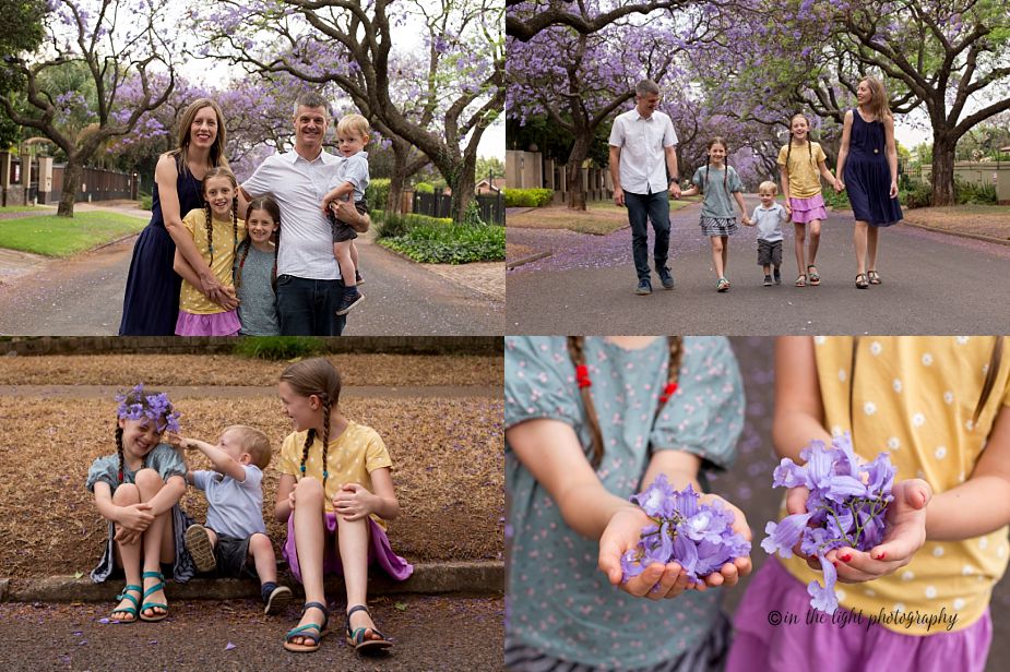 jacaranda lined street with a family