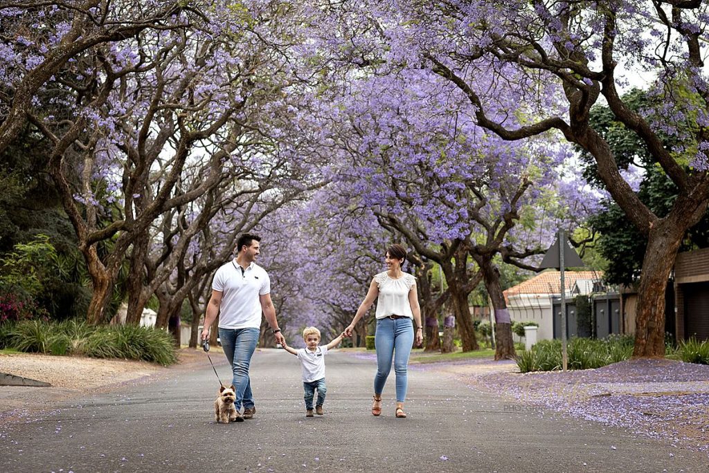 A family and their dog during their Jacaranda photo session in Pretoria.